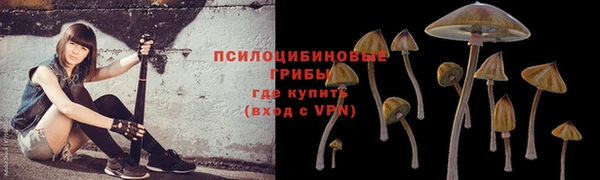 скорость Горно-Алтайск