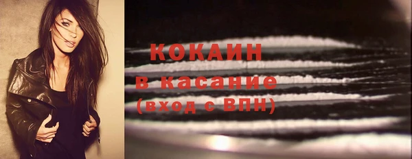 гидра Вязники