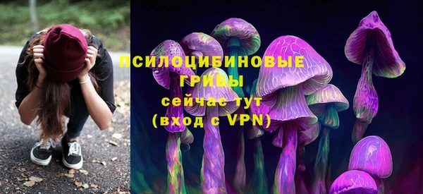 марки nbome Горнозаводск