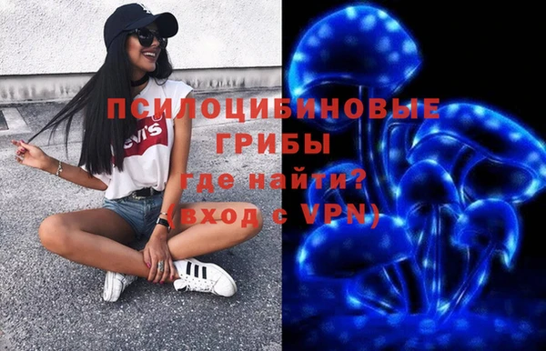 гидра Вязники